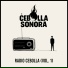 CEBOLLA SONORA