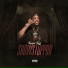 Trappn Trezz