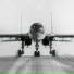 LXFTY