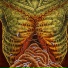 FLESH GRINDER