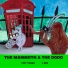 Tiny Toons, 3 Rex