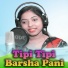 Brundaban Meher, Anamika Acharya
