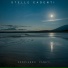 Adrianno Zaneti