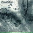 Cyanothus