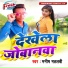 Manish Matlabi