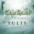 Haddad Alwi, Sulis