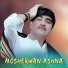 Nosherwan Ashna