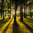 Muvva Nature