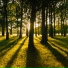 Muvva Nature