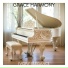 Ivory Elegance