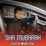 Zain Ul Abidin Fani