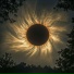 regulus