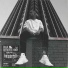 Black Retriever