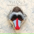 X-Press 2 feat. Rob Harvey