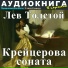 Аудиокнига в кармане, Максим Доронин