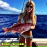 Barracuda Music