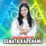 Cantika Davinca feat. Ageng Music