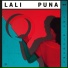 Lali Puna