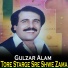 Gulzar Alam