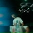 S4KTO