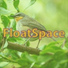 FloatSpace