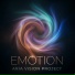 Aria Vision Project