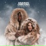 DASHKUO, Chris King
