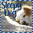 Sleepy Dog, Relaxmydog, Dog Music Dreams