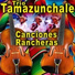 Trío Tamazunchale