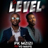 PK Mzizi feat. Yo Maps