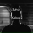 Salvo