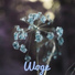 Vyach
