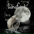 Sonofold