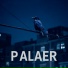 PalAer