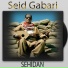 Seid Gabari