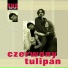 Czerwony Tulipan