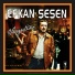Efkan Şeşen
