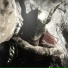 Ryutqc, NORWXXD REAPER, LaughingSkxll