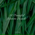 Shakuhachi Sakano, ambiente, Raindrops Sleep