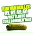 Rini Van Der Lee