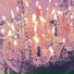 blistar