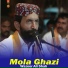 Wazeer Ali Shah