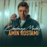Amin Rostami
