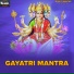Sneha