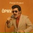Pickel Project