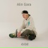 Alin Gara