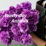 Antonio