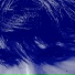 Yoshiwu