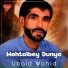Ubaid Wahid
