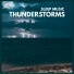 Thunderstorm Global Project from TraxLab